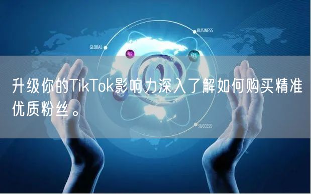 升级你的TikTok影响力深入了解如何购买精准优质粉丝。