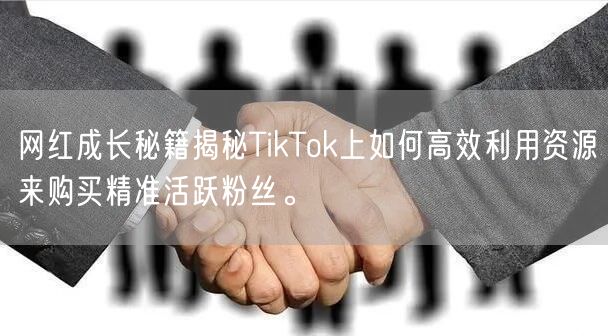 网红成长秘籍揭秘TikTok上如何高效利用资源来购买精准活跃粉丝。