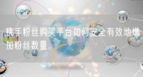快手粉丝购买平台如何安全有效地增加粉丝数量