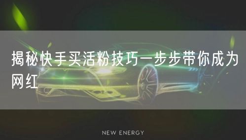 揭秘快手买活粉技巧一步步带你成为网红
