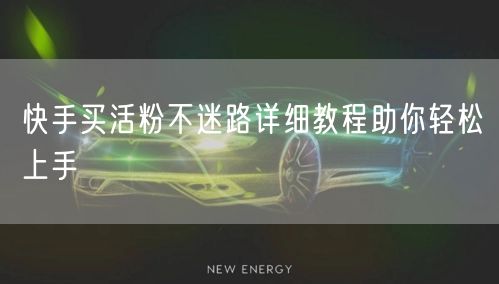 快手买活粉不迷路详细教程助你轻松上手