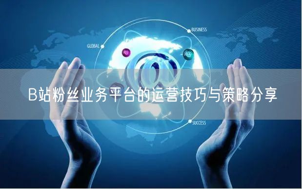 B站粉丝业务平台的运营技巧与策略分享