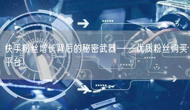快手粉丝增长背后的秘密武器——优质粉丝购买平台！