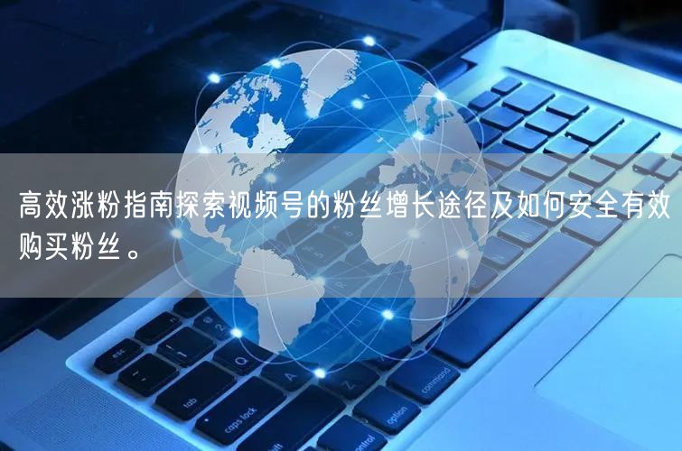 高效涨粉指南探索视频号的粉丝增长途径及如何安全有效购买粉丝。