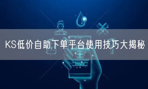 KS低价自助下单平台使用技巧大揭秘