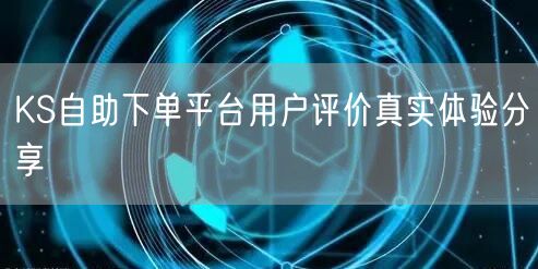 KS自助下单平台用户评价真实体验分享