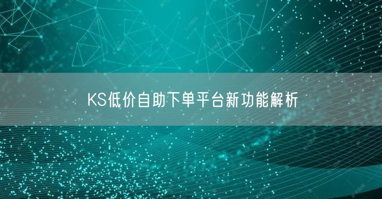 KS低价自助下单平台新功能解析