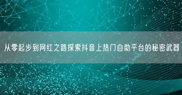 从零起步到网红之路探索抖音上热门自助平台的秘密武器