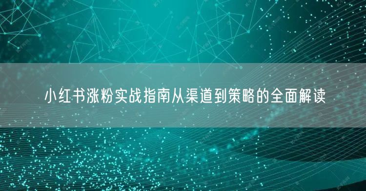 小红书涨粉实战指南从渠道到策略的全面解读