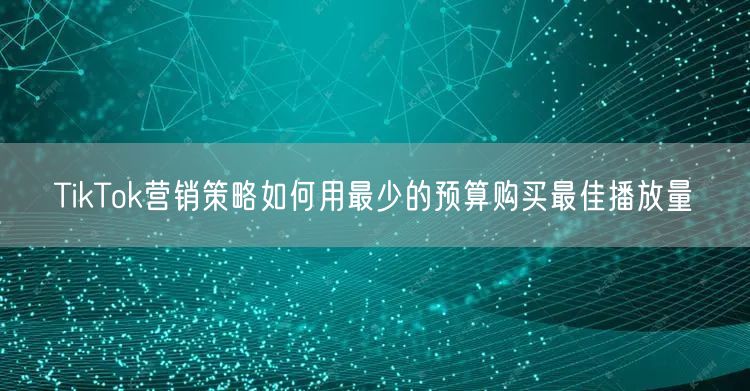 TikTok营销策略如何用最少的预算购买最佳播放量