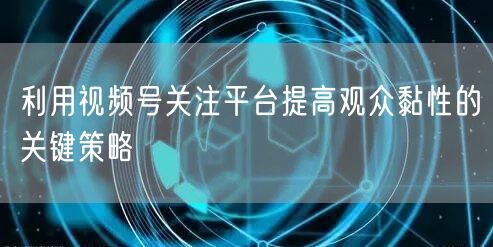 利用视频号关注平台提高观众黏性的关键策略