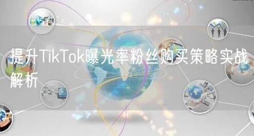 提升TikTok曝光率粉丝购买策略实战解析
