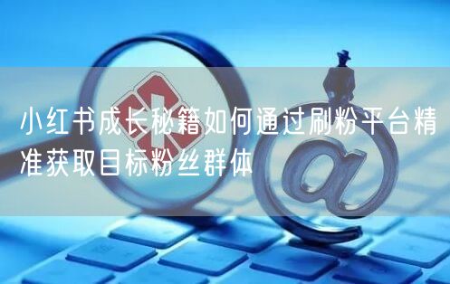小红书成长秘籍如何通过刷粉平台精准获取目标粉丝群体
