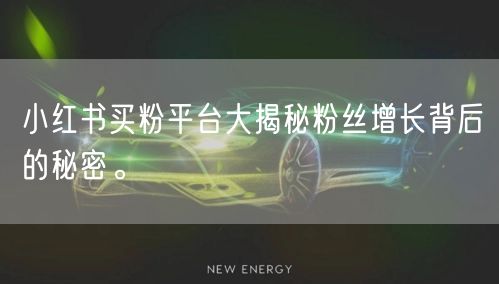 小红书买粉平台大揭秘粉丝增长背后的秘密。