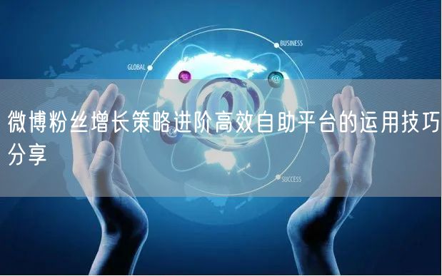 微博粉丝增长策略进阶高效自助平台的运用技巧分享