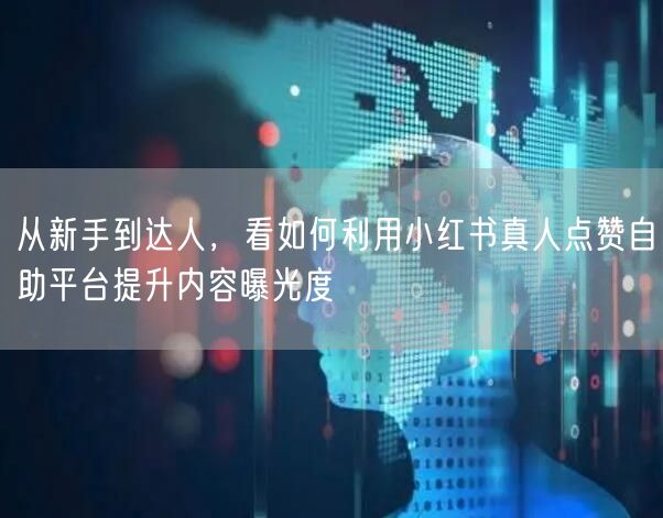 从新手到达人，看如何利用小红书真人点赞自助平台提升内容曝光度