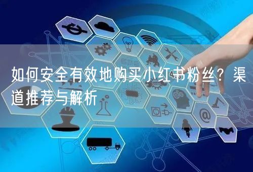 如何安全有效地购买小红书粉丝？渠道推荐与解析