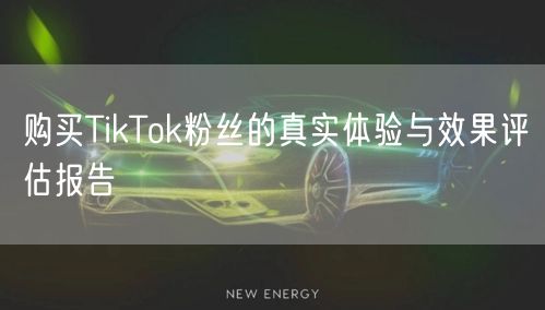 购买TikTok粉丝的真实体验与效果评估报告