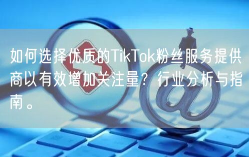 如何选择优质的TikTok粉丝服务提供商以有效增加关注量？行业分析与指南。