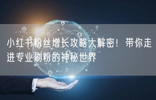 小红书粉丝增长攻略大解密！带你走进专业刷粉的神秘世界