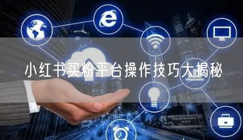 小红书买粉平台操作技巧大揭秘