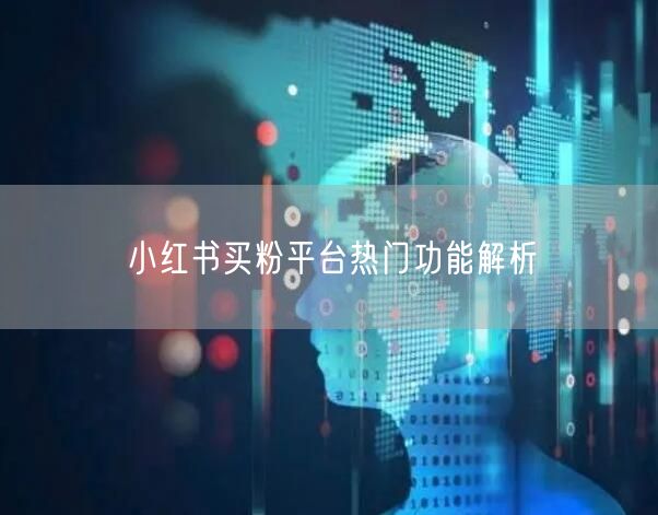 小红书买粉平台热门功能解析