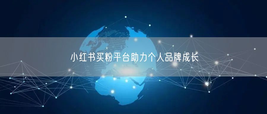 小红书买粉平台助力个人品牌成长