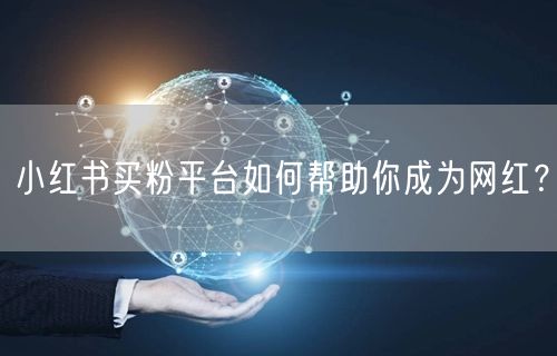 小红书买粉平台如何帮助你成为网红？