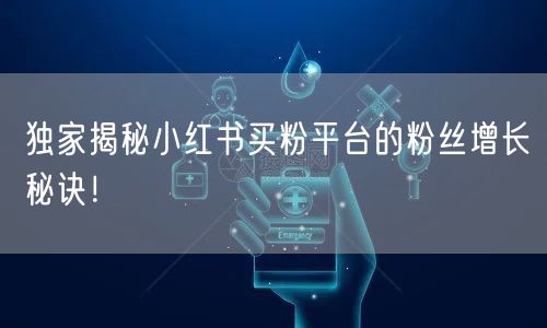 独家揭秘小红书买粉平台的粉丝增长秘诀！