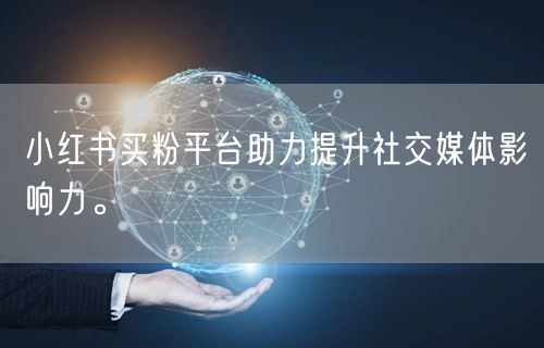小红书买粉平台助力提升社交媒体影响力。
