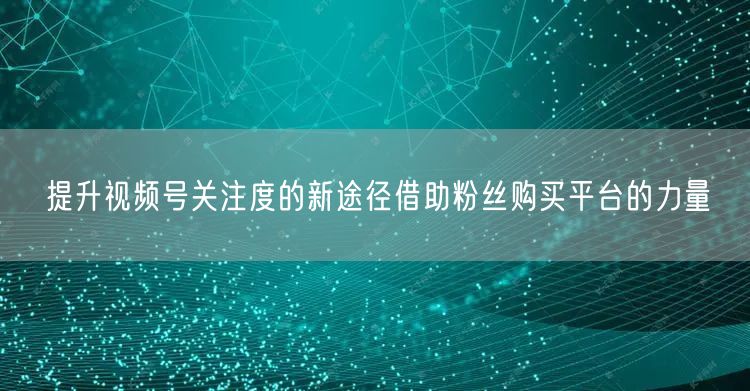 提升视频号关注度的新途径借助粉丝购买平台的力量