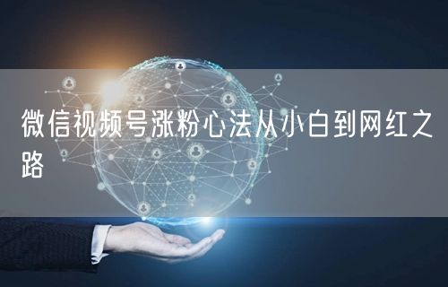 微信视频号涨粉心法从小白到网红之路