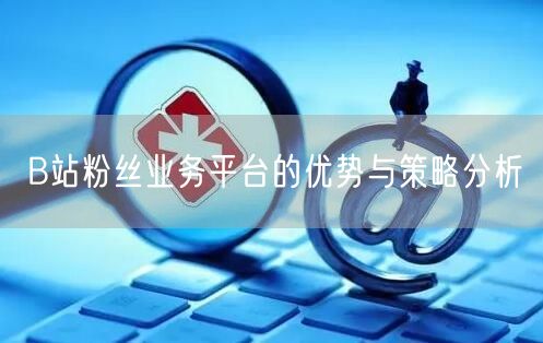 B站粉丝业务平台的优势与策略分析