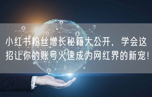 小红书粉丝增长秘籍大公开，学会这招让你的账号火速成为网红界的新宠！