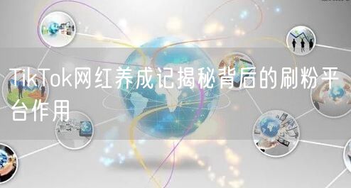 TikTok网红养成记揭秘背后的刷粉平台作用