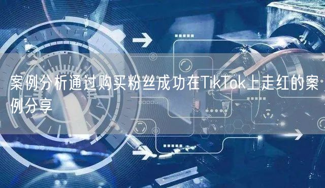 案例分析通过购买粉丝成功在TikTok上走红的案例分享