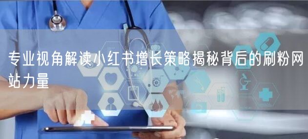 专业视角解读小红书增长策略揭秘背后的刷粉网站力量